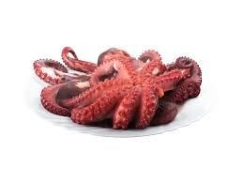 Octopus ( Poulpe)
